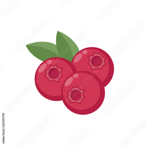 Cranberry colorful clipart cartoon. Cranberries with leaves vector cartoon in color.