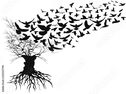birds flying away dead branches tree