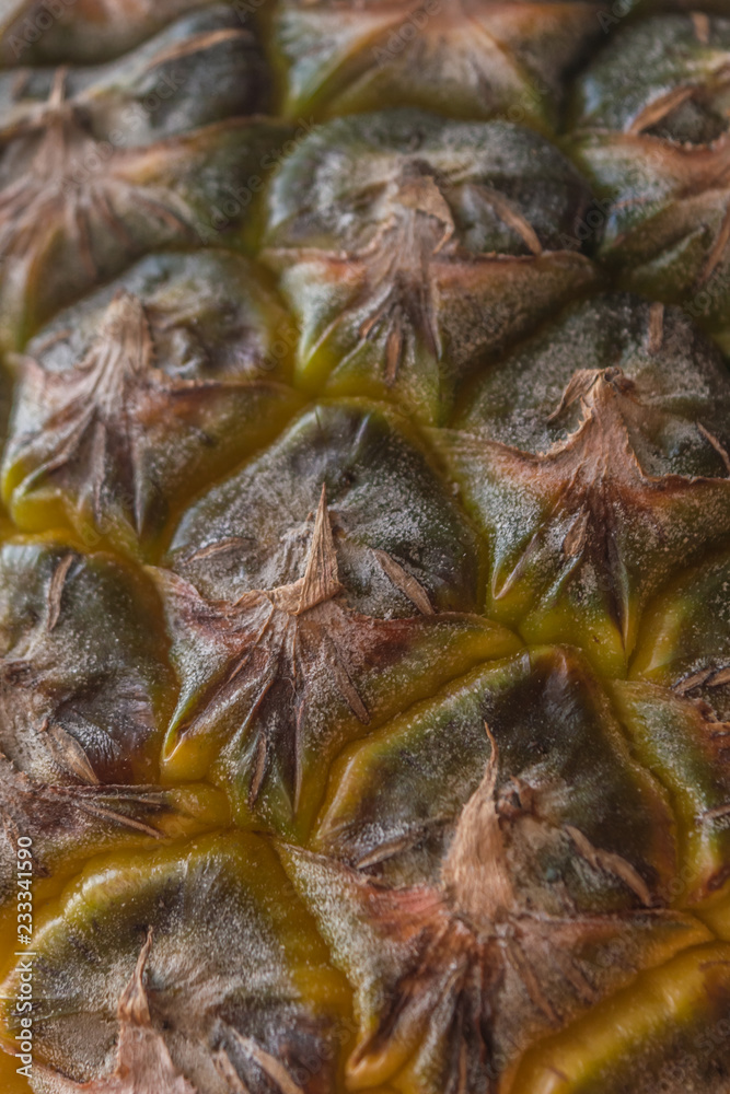 Shell of a pineapple showing clear details and texture, geometric pattern Shell of a pineapple showing clear details and texture, geometric pattern