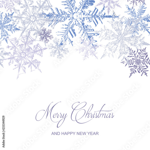 Christmas Card with Purple Snowflakes, Vector Illustration