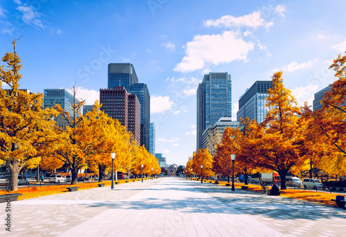 秋の東京 photo