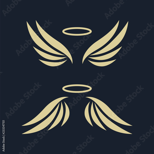 Elegant angel golden flying wings on black background. Flying angel with wing feather, golden linear winged