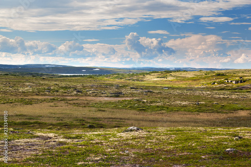 Tundra landscape in the north of Russia
