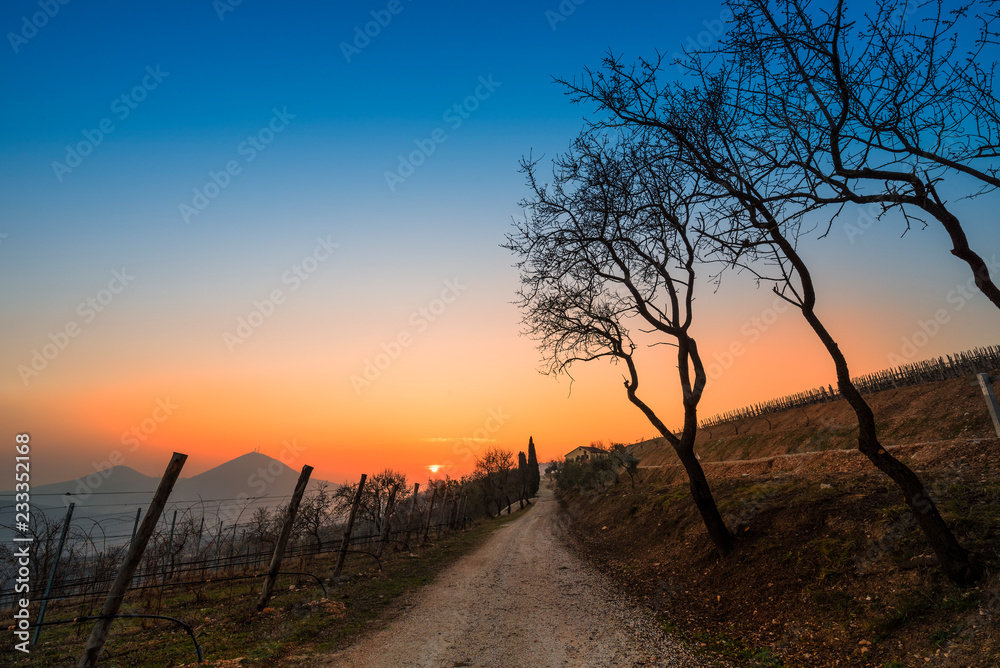 Sentiero nelle colline italiane al tramonto 