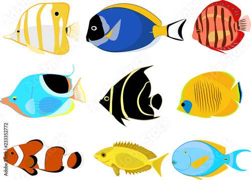 coral fishes set
