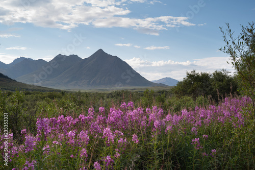Tombstone Territorial Park