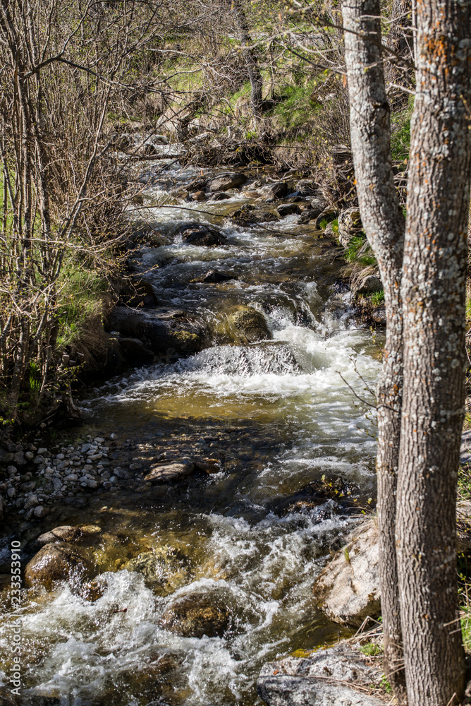 Obraz premium Rivière