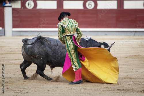 Bull and bullfighter in the ring photo