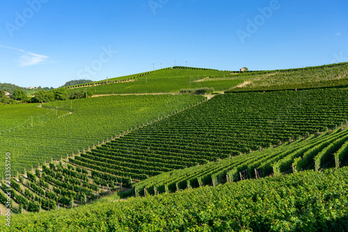 Vineyards near Barolo, Cuneo, in Langhe