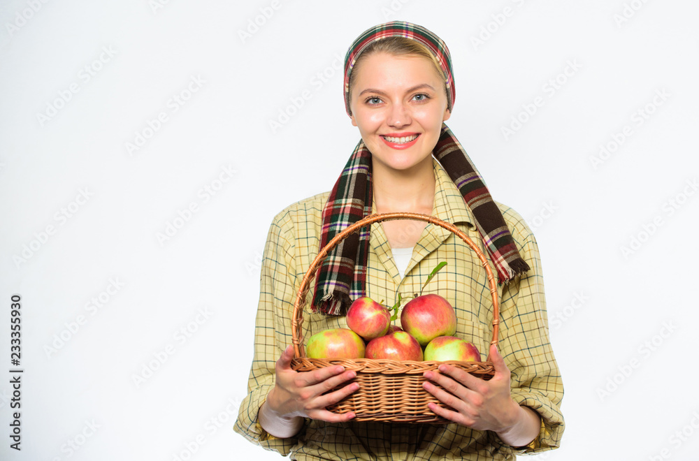 Woman gardener rustic style hold basket with apples harvest on white background. Harvesting time concept. Lady farmer or gardener proud of her harvest. Woman cheerful carry basket with natural fruits Woman gardener rustic style hold basket with apples harvest on white background. Harvesting time concept. Lady farmer or gardener proud of her harvest. Woman cheerful carry basket with natural fruits