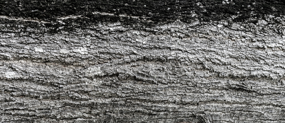black and white background black and white background