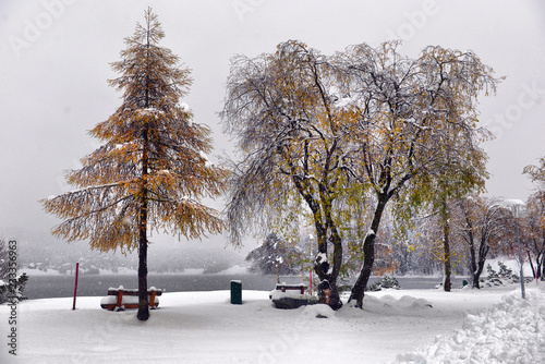 Scenic autumn view with the first snow  trees and forest in the snow and hoarfrost