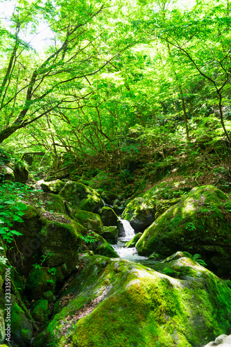 自然　川　山
