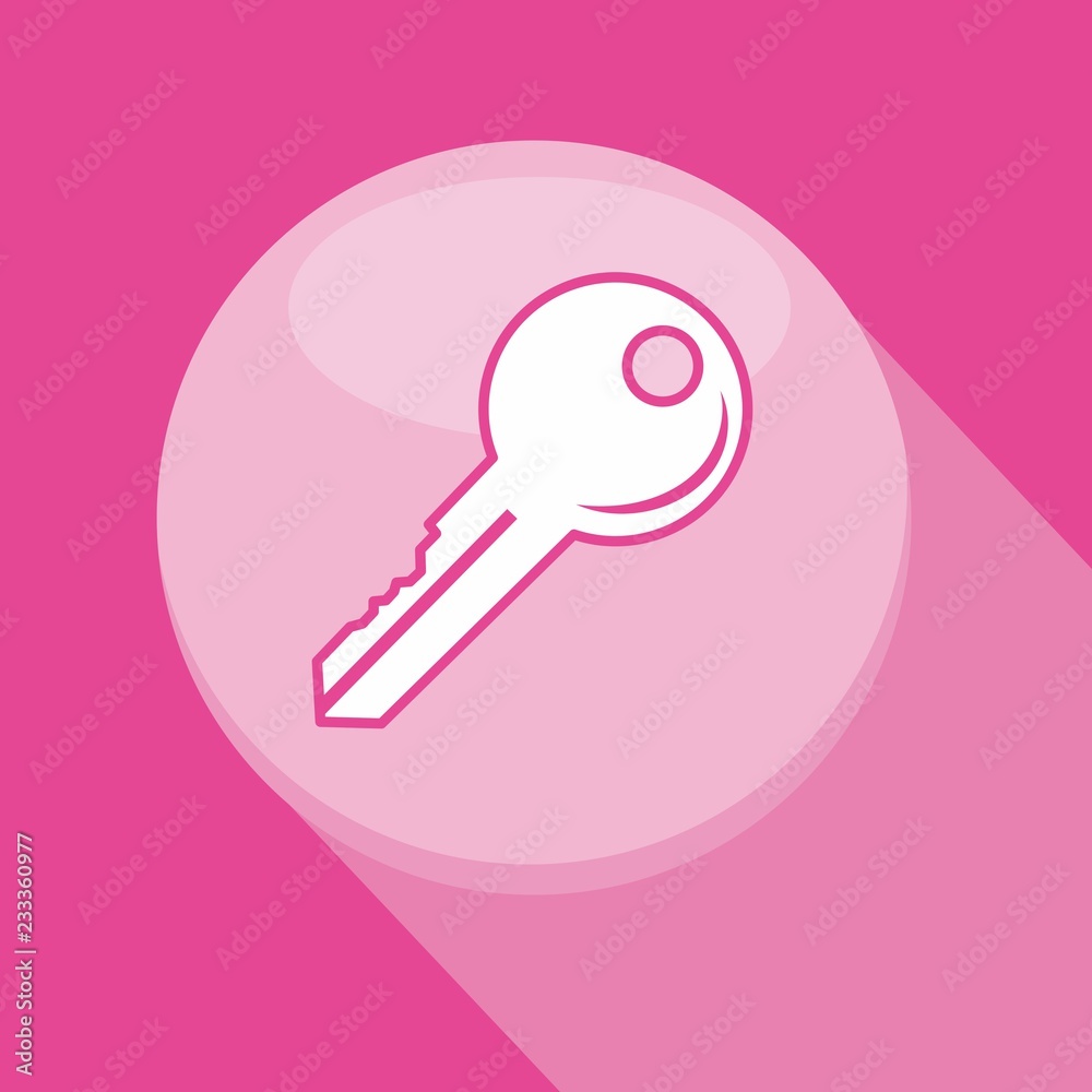 Vector illustration of a web icons - house key