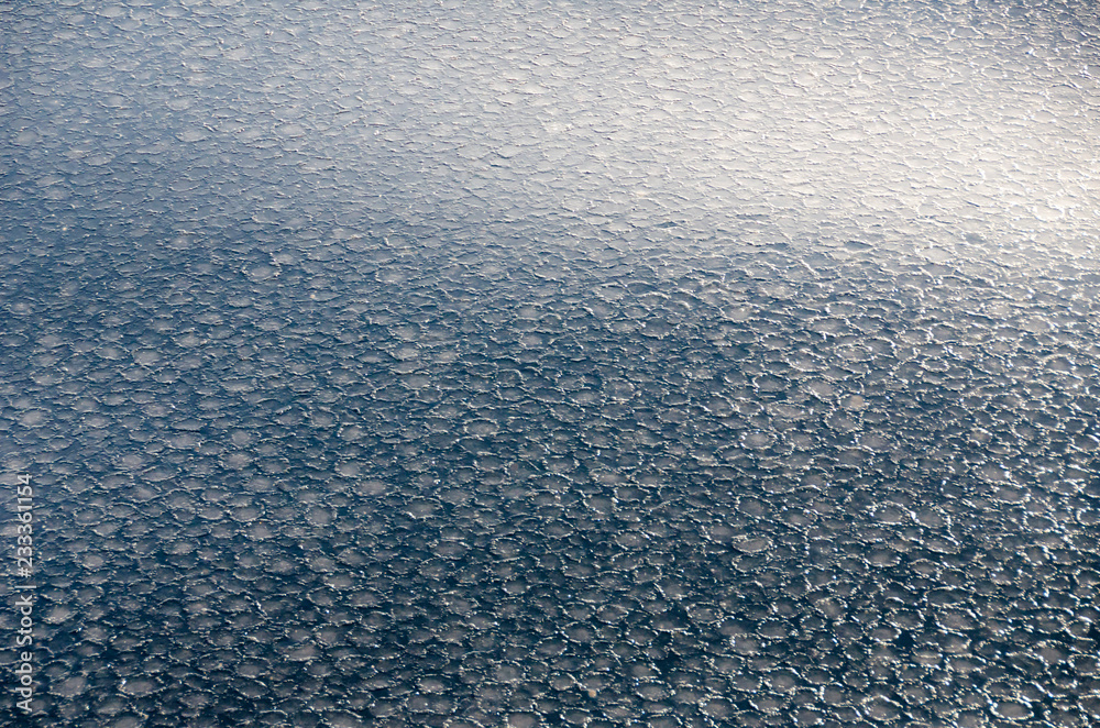 The texture of sea covered by round ice pieces