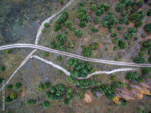 autumn forest, road in the forest, view from above