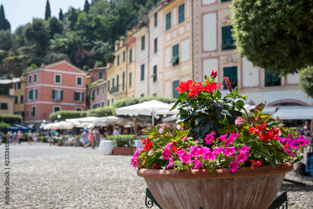 Pot of flowers in the main square at Portofino harbour, Italy
