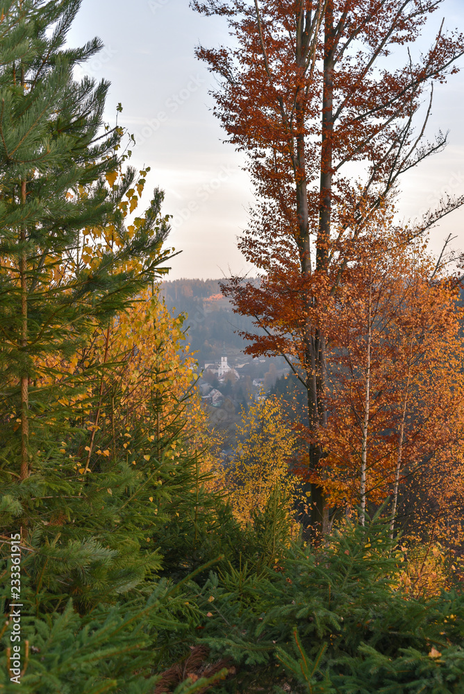 Herbstwald im Fichtelgebirge Wald Wandern im Herbst
