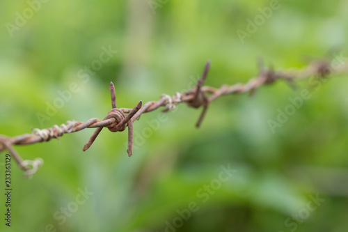 Close up of dirty barbed wire.