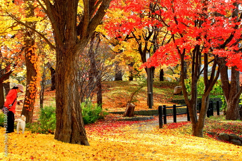 北海道、札幌中島公園秋の散歩道