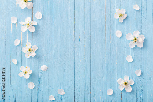 spring flowers on blue wooden background