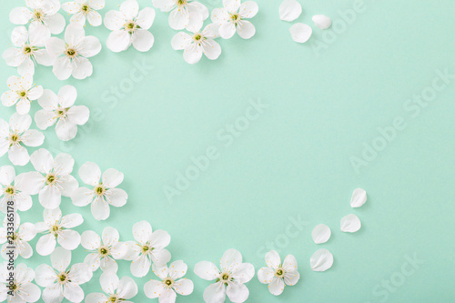 Fototapeta Naklejka Na Ścianę i Meble -  cherry flowers on paper background