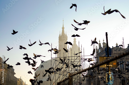 View on the central square and famous st. Mary's basilica with pigeons flying during the sunrise in Krakow, Poland. 10-12-2015