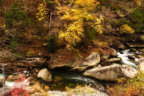 山梨県甲府市 昇仙峡の紅葉