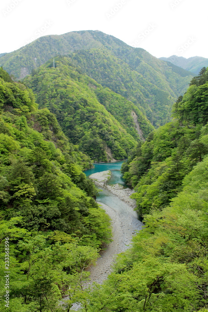 静岡県 寸又峡 夢の吊り橋