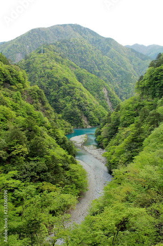 静岡県 寸又峡 夢の吊り橋 © ゆず