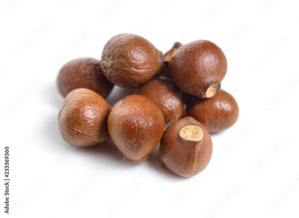 Nuts of Staphylea, or bladdernut. Isolated on white backgroumd Nuts of Staphylea, or bladdernut. Isolated on white backgroumd
