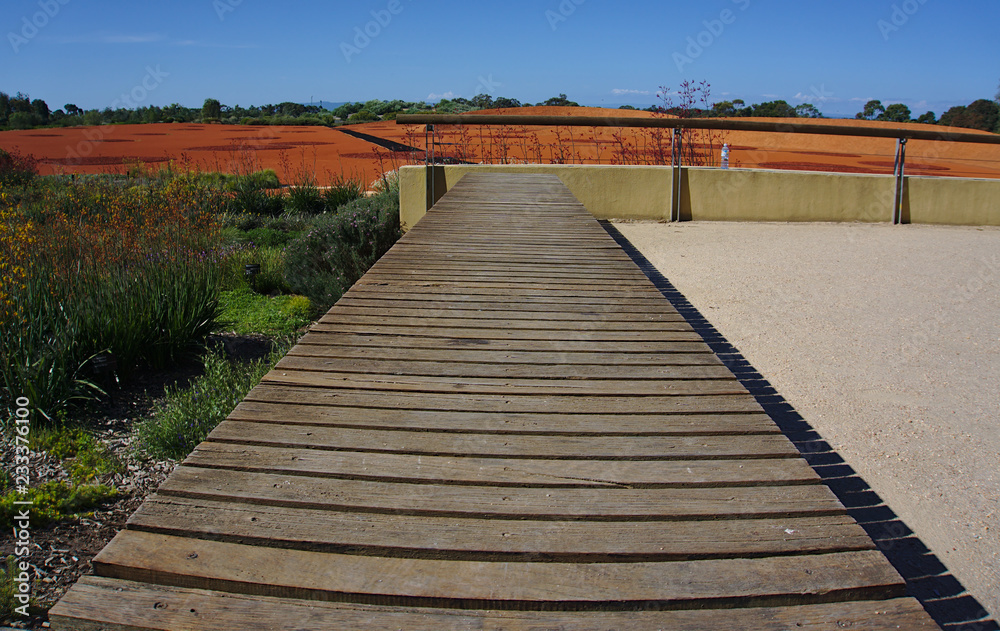 Walking path at public park in Australia