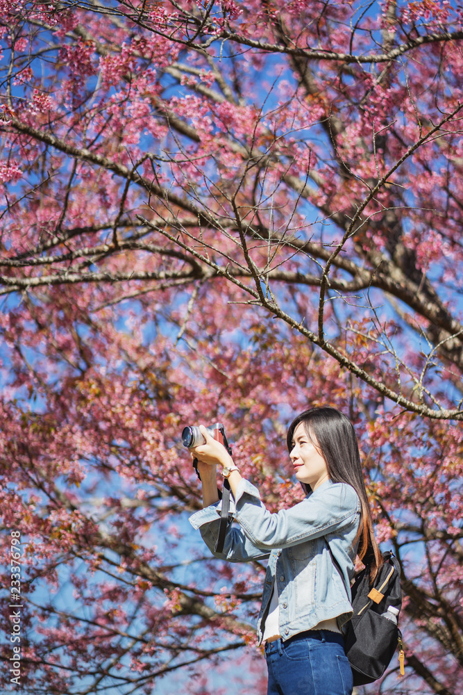 Woman take a sakura cheery blossom photo Woman take a sakura cheery blossom photo