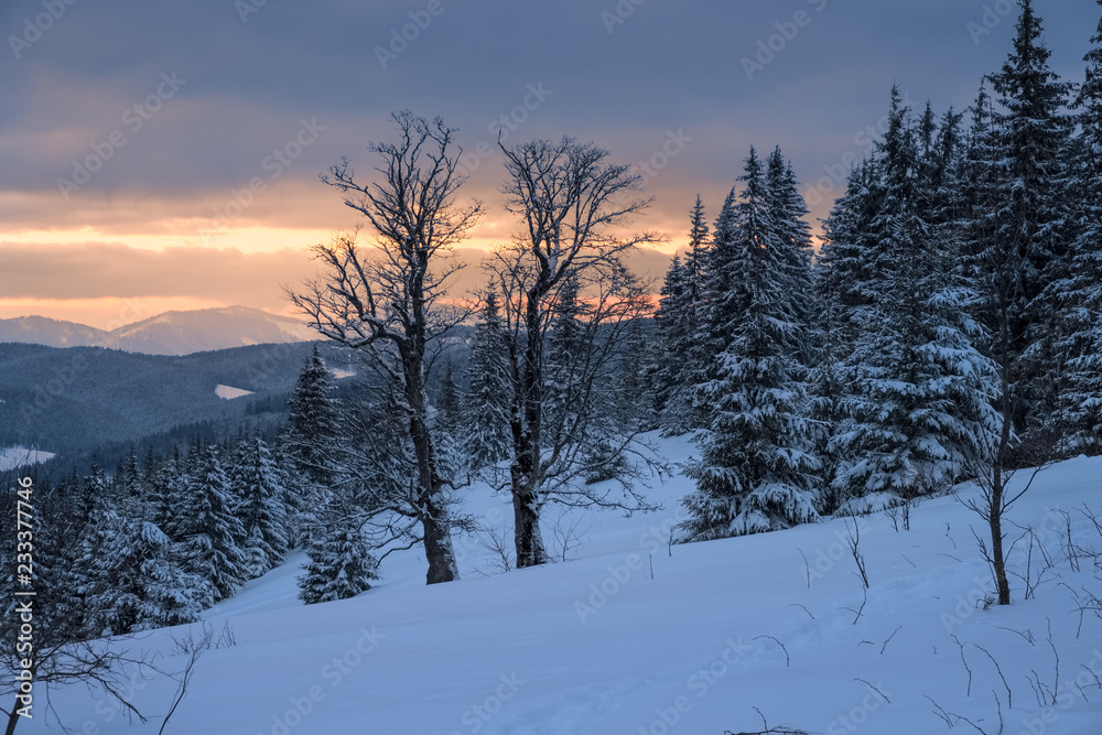 Fototapeta premium Winter landscape of a mountain range and valley in winter at sunset.