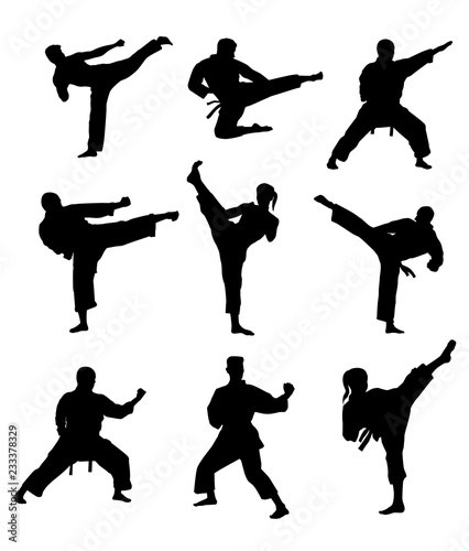 Martial Arts Silhouettes photo