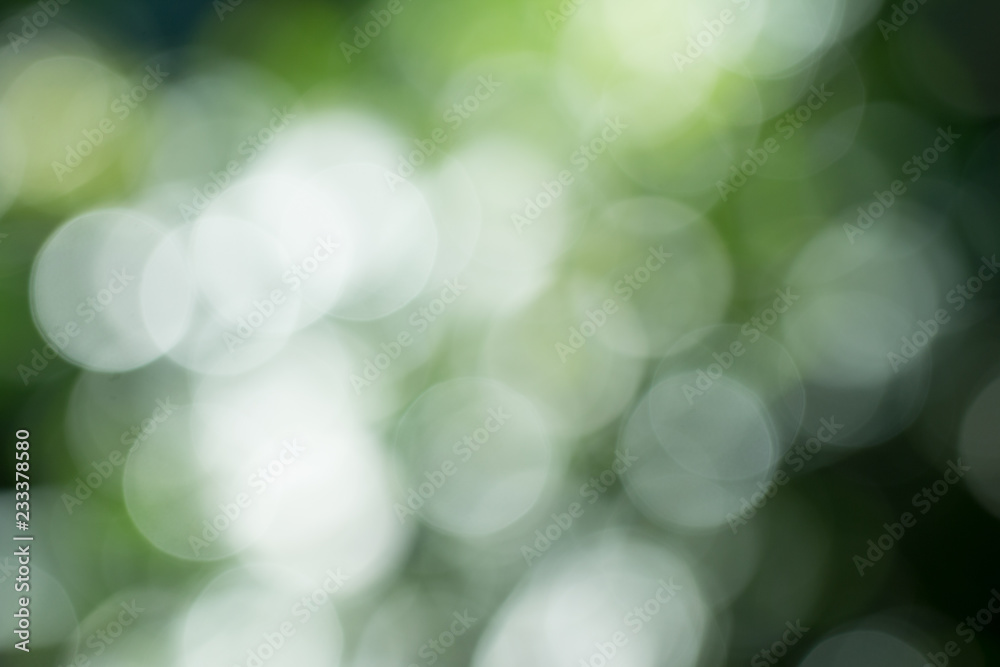 Obraz premium Natural green gradient light and blurred effect image design for presentation background