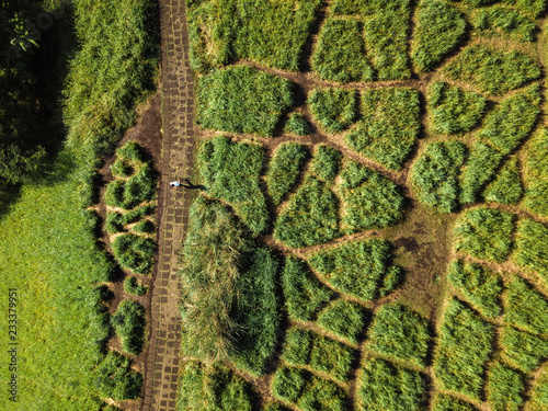 Aerial view of path passing through field photo