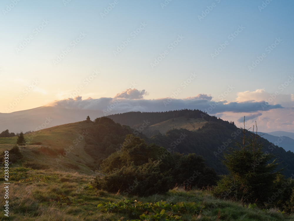Evening landscape of mountain pasture. Carpathians mountains in august, west Ukraine. Nature background. Sunlight illuminating hillside covered with dense forest of green firs. Blurred background