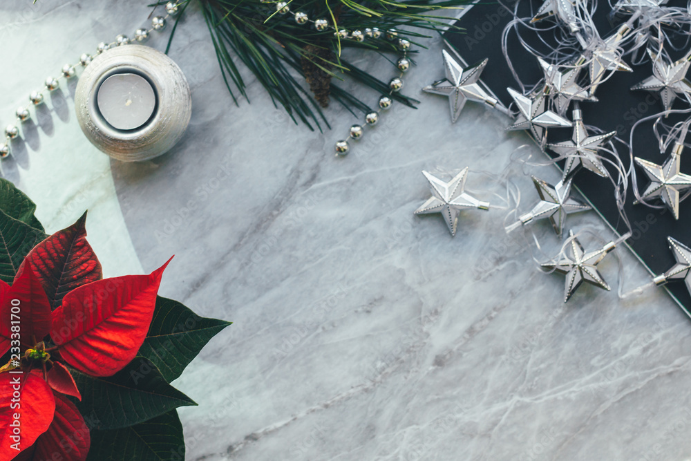 Christmas closeup mockup with poinsettia, with copy place. Christmas closeup mockup with poinsettia, with copy place.
