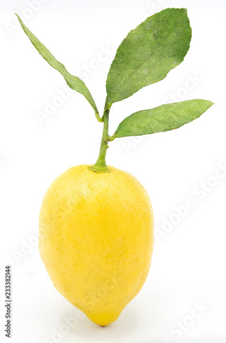 lemon fruit with leaf isolated on white background