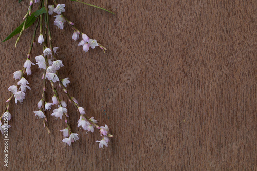 Vintage wooden background with pink flowers