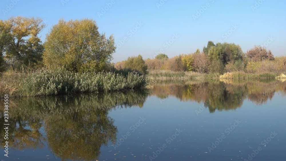 reflection of autumn trees in a river reflection of autumn trees in a river
