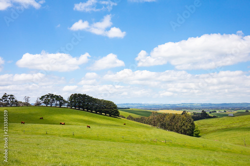 Strzelecki Ranges Landscape photo