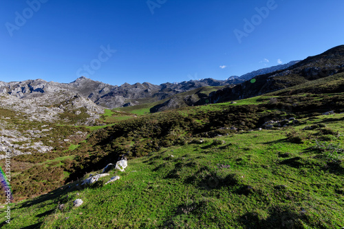 Landscape of Picos de Europa National Park