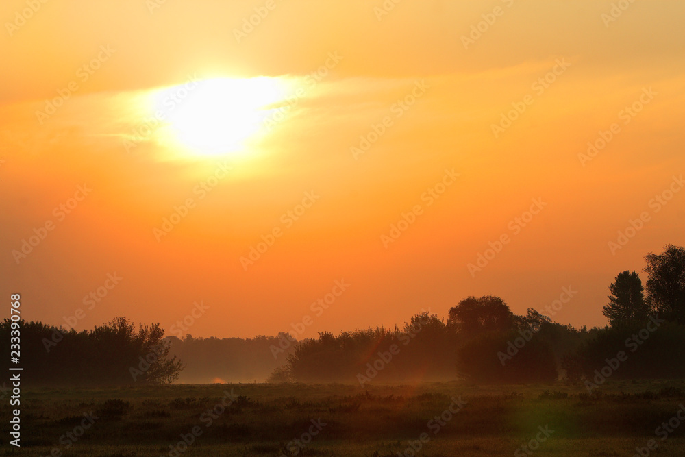 Spring sunrise landscape over the meadows along the Vistula river in Mazovia region in Poland.