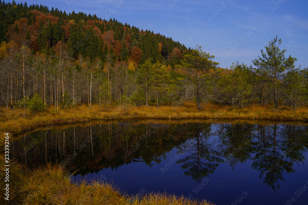 Nature autumn colors