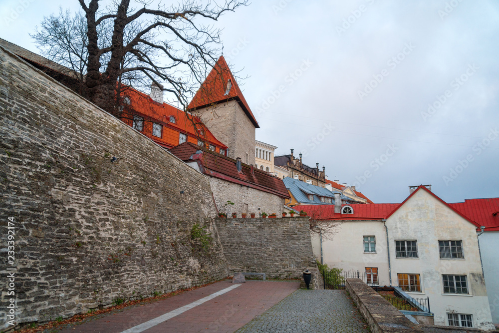 View on the old city wall. Estonia, Tallinn.