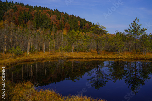 Fototapeta Naklejka Na Ścianę i Meble -  Nature autumn colors