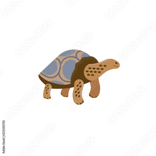 Vector illustration. Cartoon style icon of galapagos tortoise. Cute character for different design.