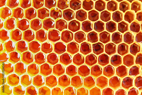 Filled honeycomb as background. Healthy natural sweetener